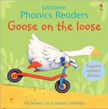 Goose on the loose (Phonics Readers)