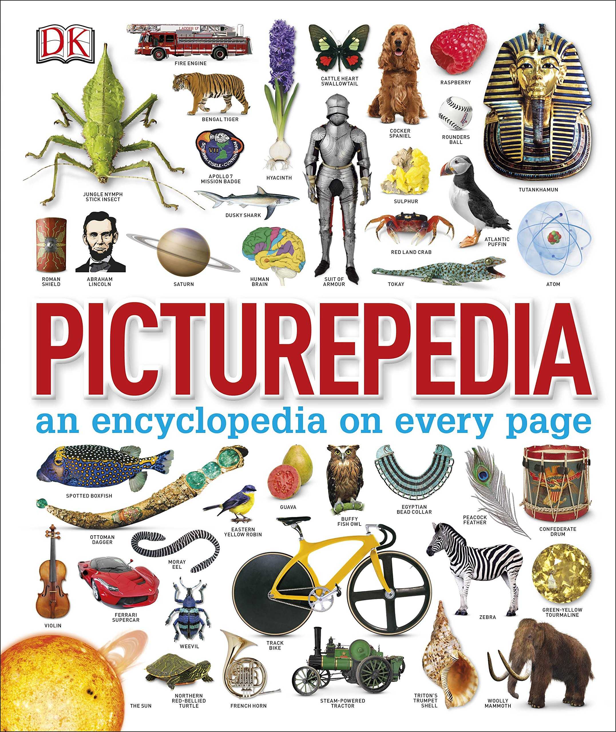 PICTUREPEDIA